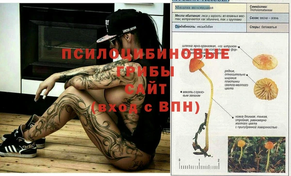 таблы Алексеевка