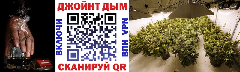 Бошки Шишки ГИДРОПОН Михайловск