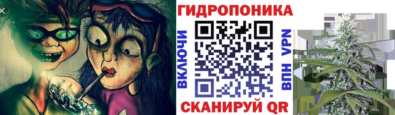 кракен маркетплейс  Михайловск  Марихуана семена 